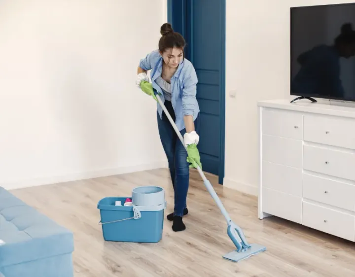 Femme de ménage Pliboux